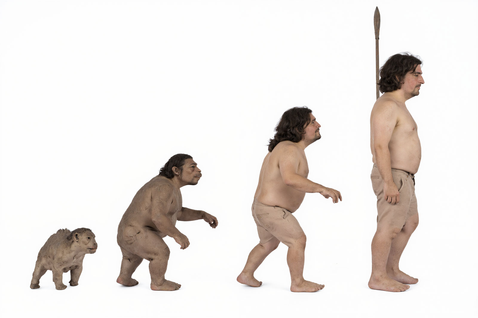 Ca. 500 Millionen Jahre Evolution: vom Drachen (Abbildung: Jungtier) bis zum heutigen Menschen (KI-Fotografie-Rekonstruktion)