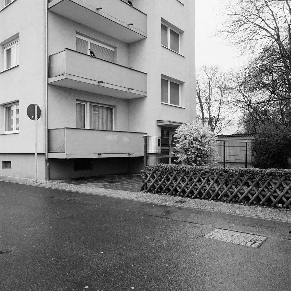 Bild aus der Arbeit „Real Semantik (Heimat/Homeland VIII) von Florian Albrecht-Schoeck.