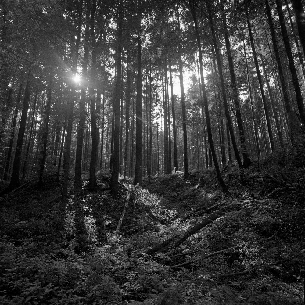 Bild aus der Fotografie Arbeit „ Verzehren und Verzerren (Heimat IV/Homeland IV)“ von Florian Albrecht-Schoeck.