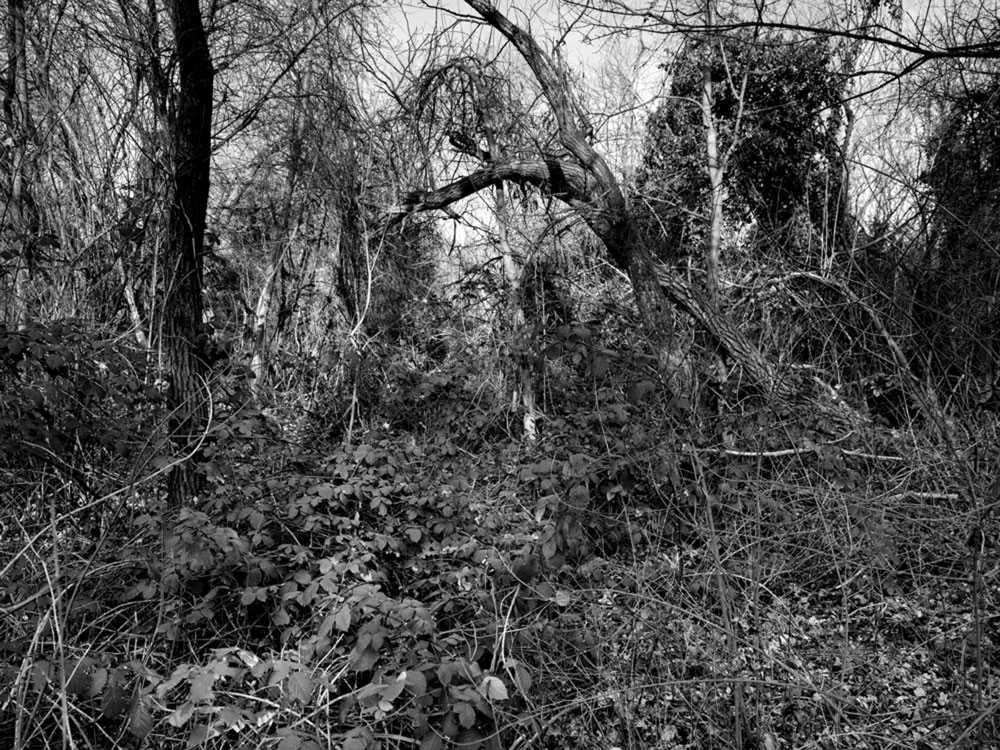 Motive aus der Arbeit „Roots Retropia Rage Repeat“ von Florian Albrecht-Schoeck