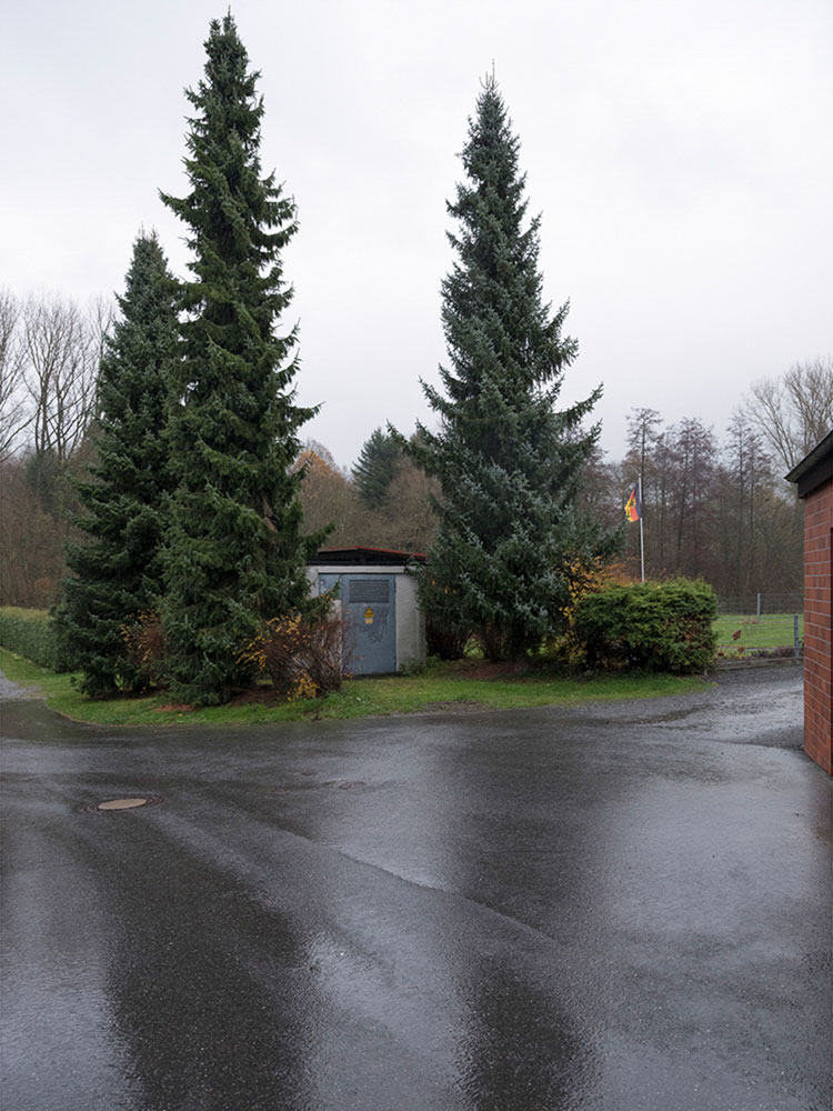 Motive aus der Arbeit „Roots Retropia Rage Repeat“ von Florian Albrecht-Schoeck