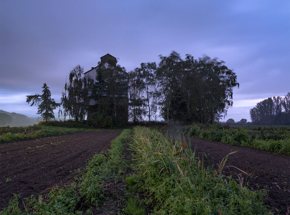 Motive aus der Arbeit „Roots Retropia Rage Repeat“ von Florian Albrecht-Schoeck