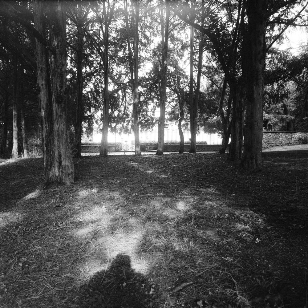 Bild aus der Arbeit „Build & Butch“ von Florian Albrecht-Schoeck.