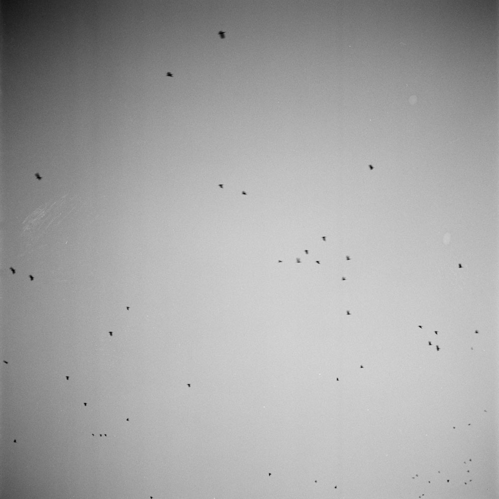 Motive aus der Arbeit „All About (Heimat/Homeland VI)“ von Florian Albrecht-Schoeck