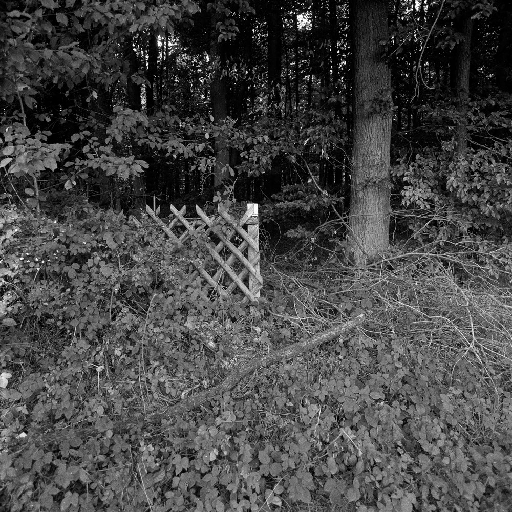 Bild aus der Fotografie Arbeit „ Verzehren und Verzerren (Heimat IV/Homeland IV)“ von Florian Albrecht-Schoeck.