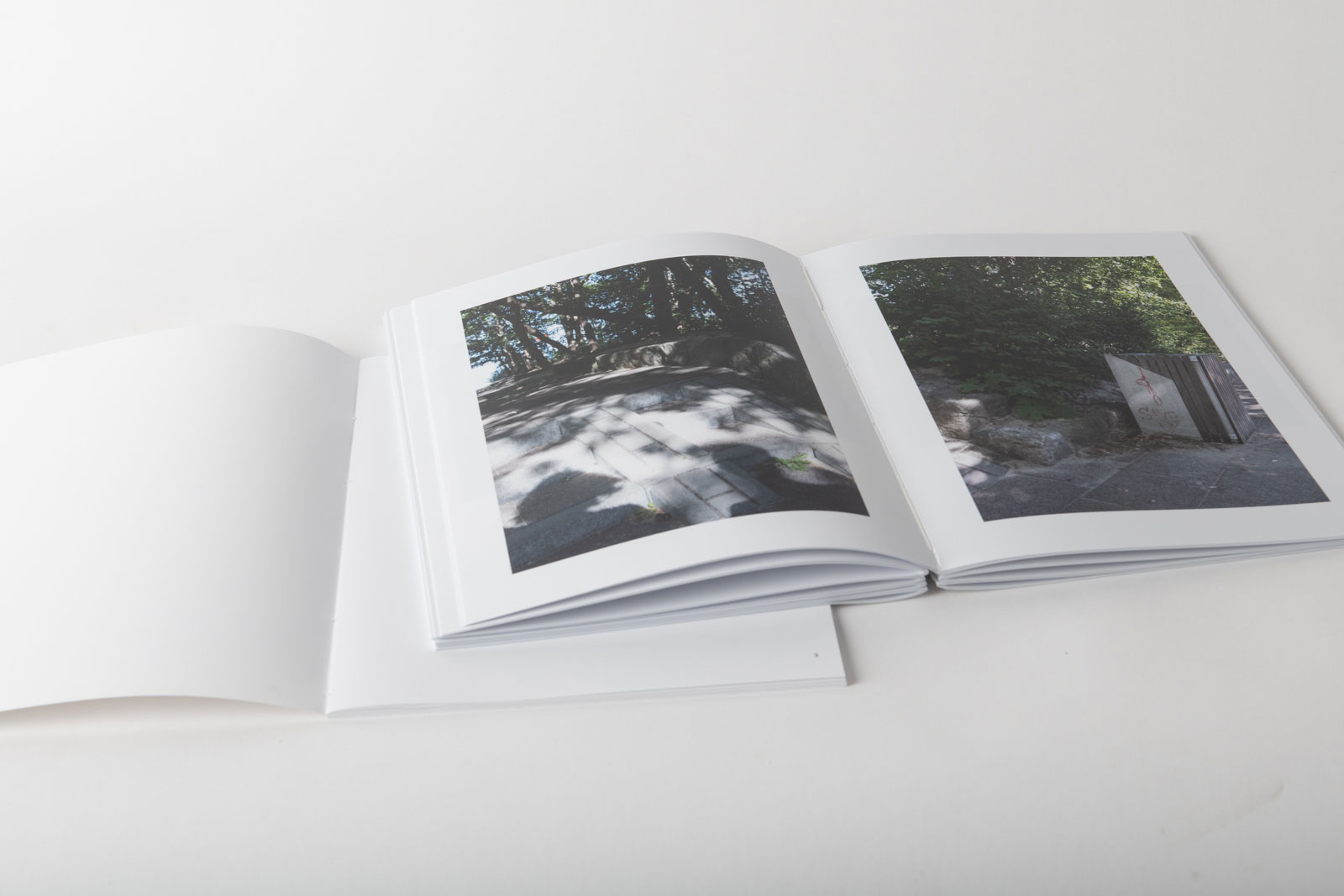 Die ersten Bilder der handgebundenen Buch-Edition von „Not Alone“. Die Buch-Edition besteht aus zwei Büchern.