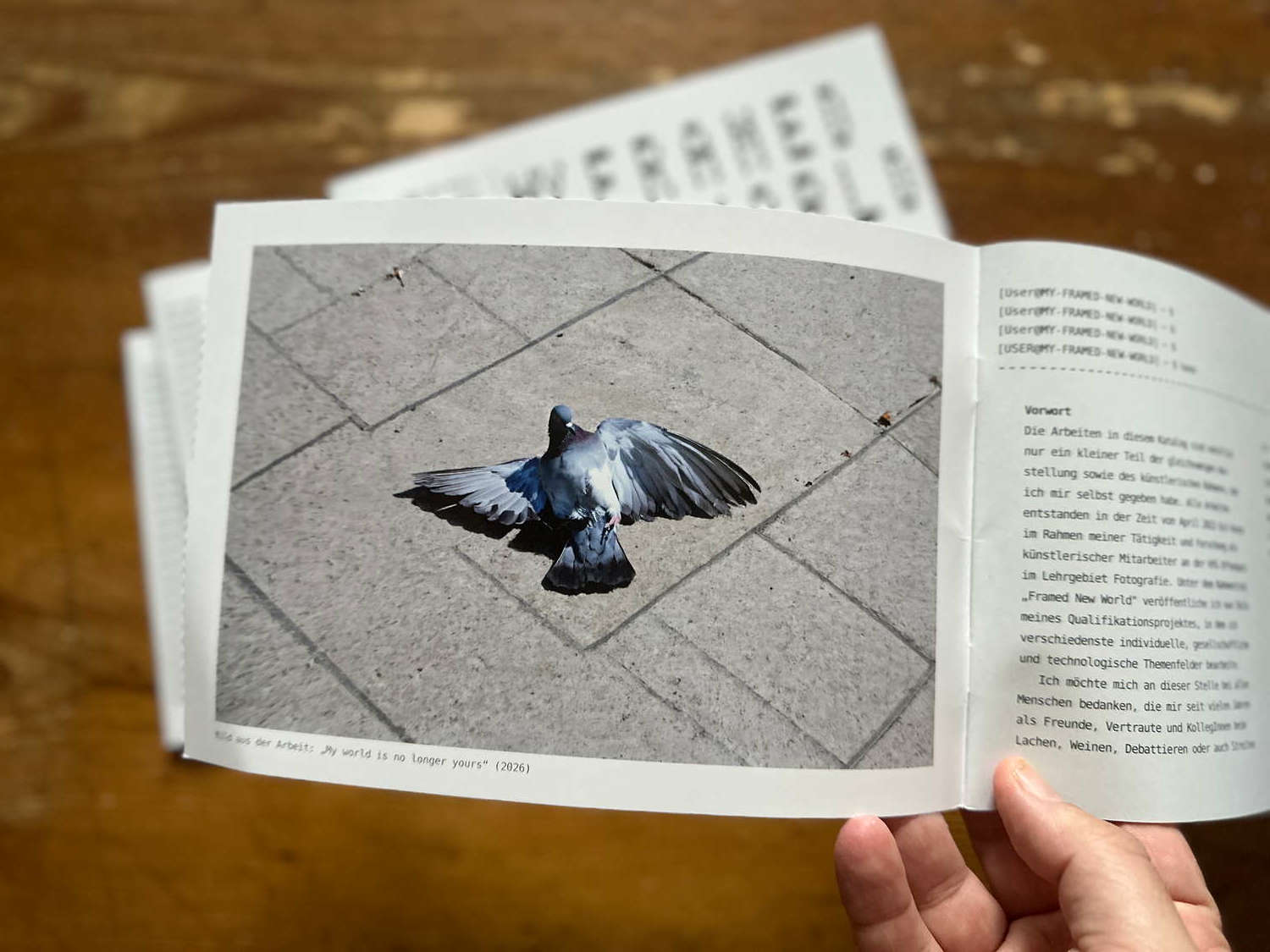 MY FRAMED NEW WORLD: Katalog zur Ausstellung von Florian Albrecht-Schoeck