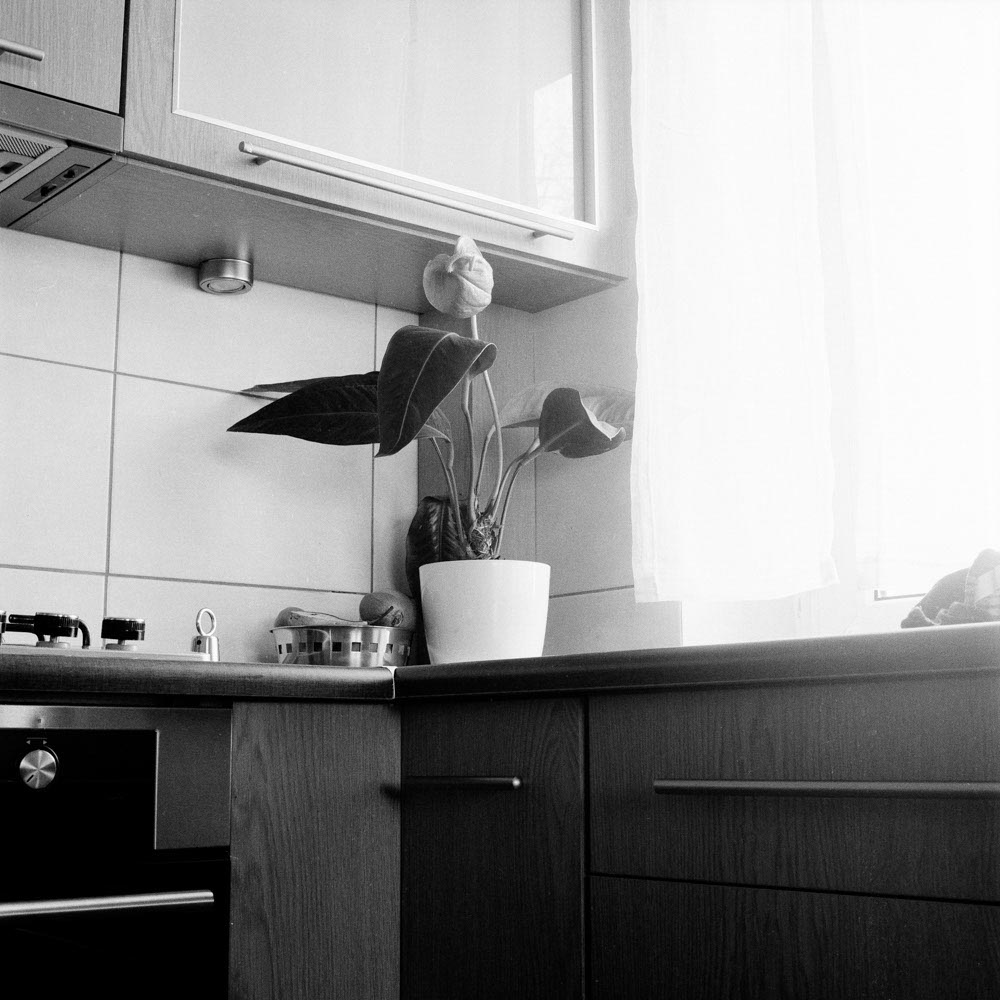 Motive aus der Arbeit „Vaterland“ von Florian Albrecht-Schoeck