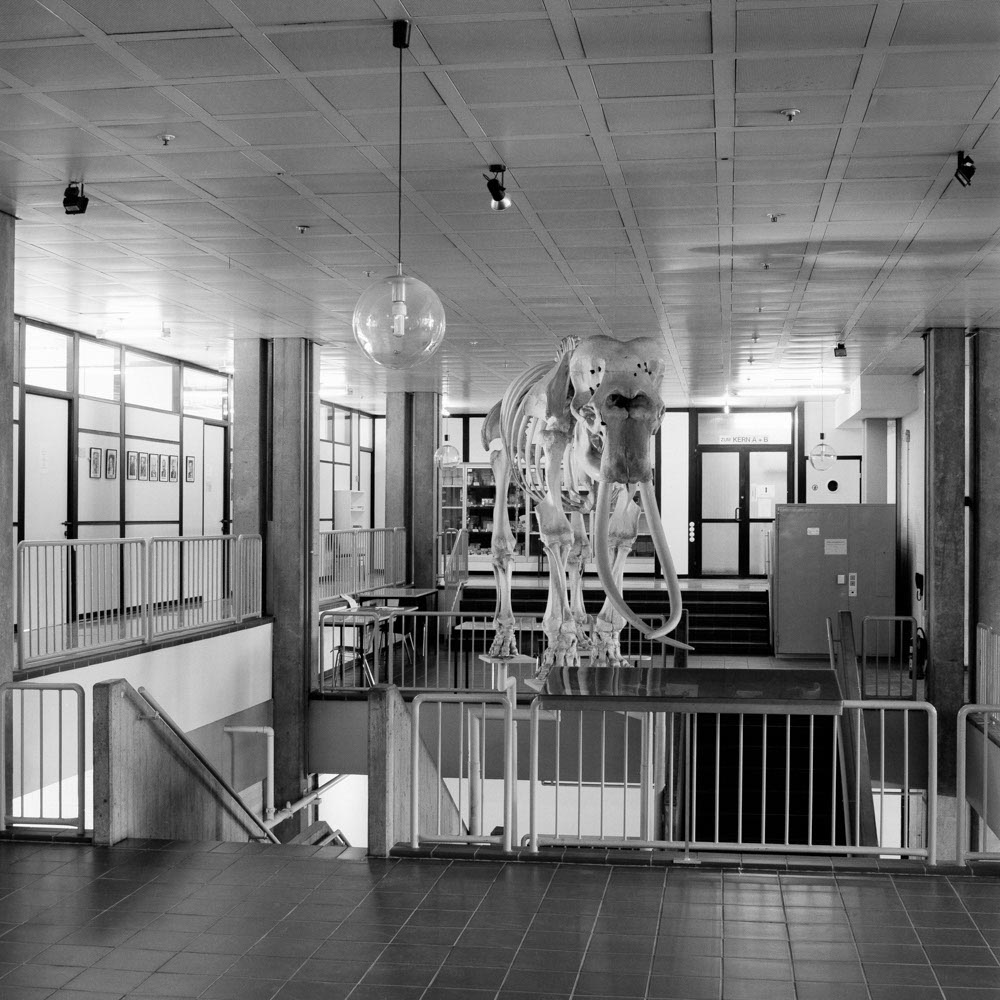 Motive aus der Arbeit „Vaterland“ von Florian Albrecht-Schoeck