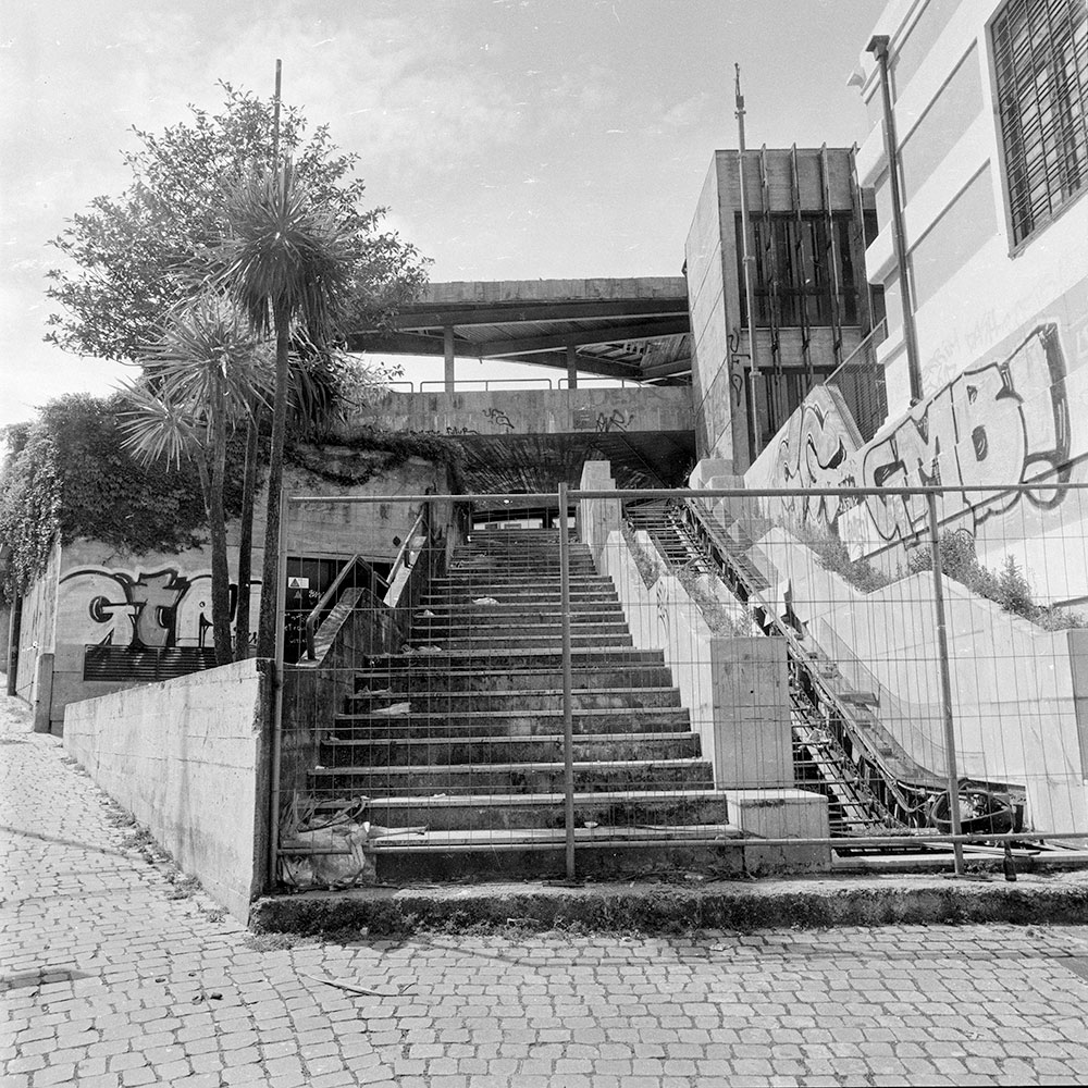 Bild der Werkgruppe „Minha Terra (Heimat III, 2009)“ von Florian Albrecht-Schoeck / Image the workgroup „Minha Terra (Homeland III, 2009)“ by Florian Albrecht-Schoeck