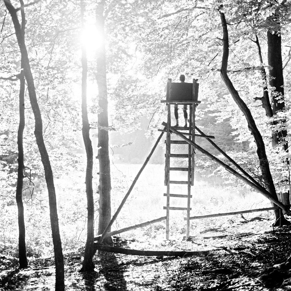 Motive aus der Arbeit „Vaterland“ von Florian Albrecht-Schoeck