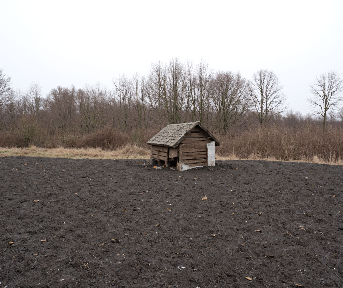 Ein Bild aus der neuen Arbeit„There is Hope“: Über KI, Machine Learning und meinen Umgang mit Fotografie, Kunst und wie sich meine Wahrnehmung entwickelt und verändert.