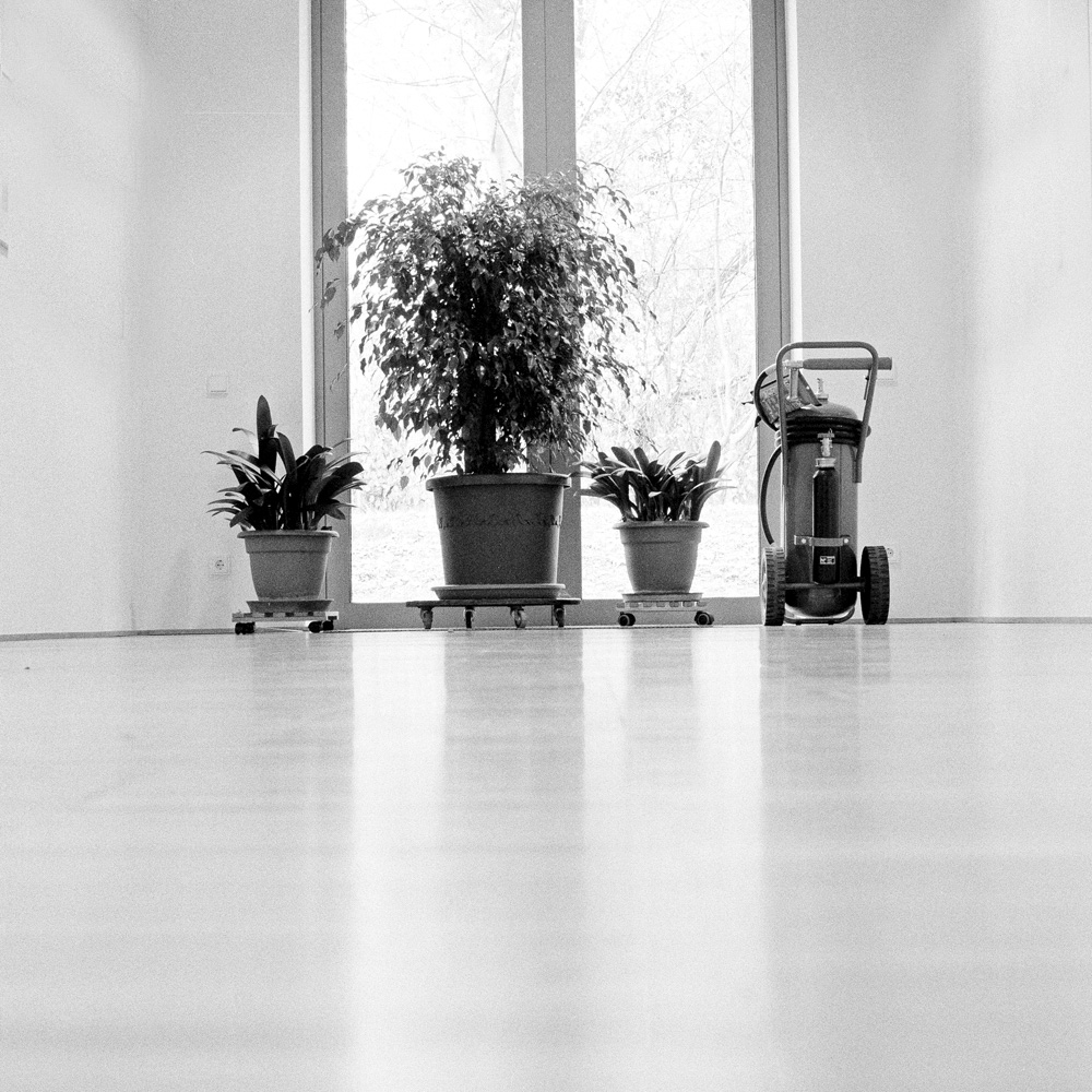 Bild aus der Arbeit „Humankapital“ von Florian Albrecht-Schoeck.