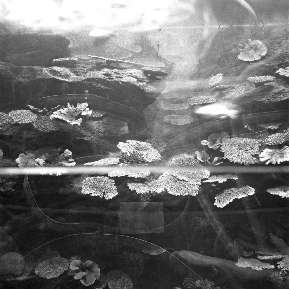 Bild aus der Fotografie Arbeit „Two One Zero (Heimat/Homeland IX)“ von Florian Albrecht-Schoeck.