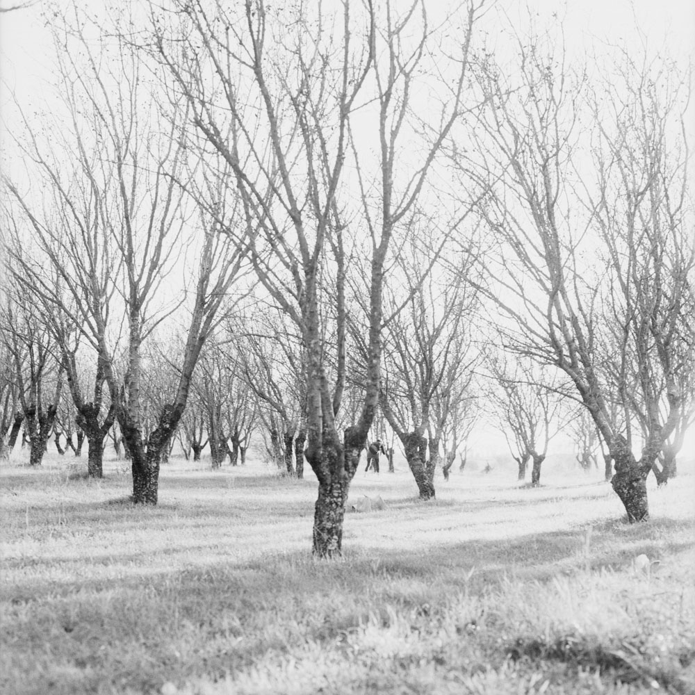 Motive aus der Arbeit „All About (Heimat/Homeland VI)“ von Florian Albrecht-Schoeck