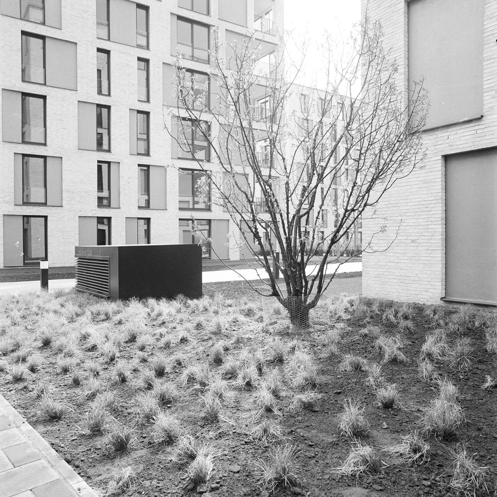 Bild aus der Arbeit „Real Semantik (Heimat/Homeland VIII)“ von Florian Albrecht-Schoeck.