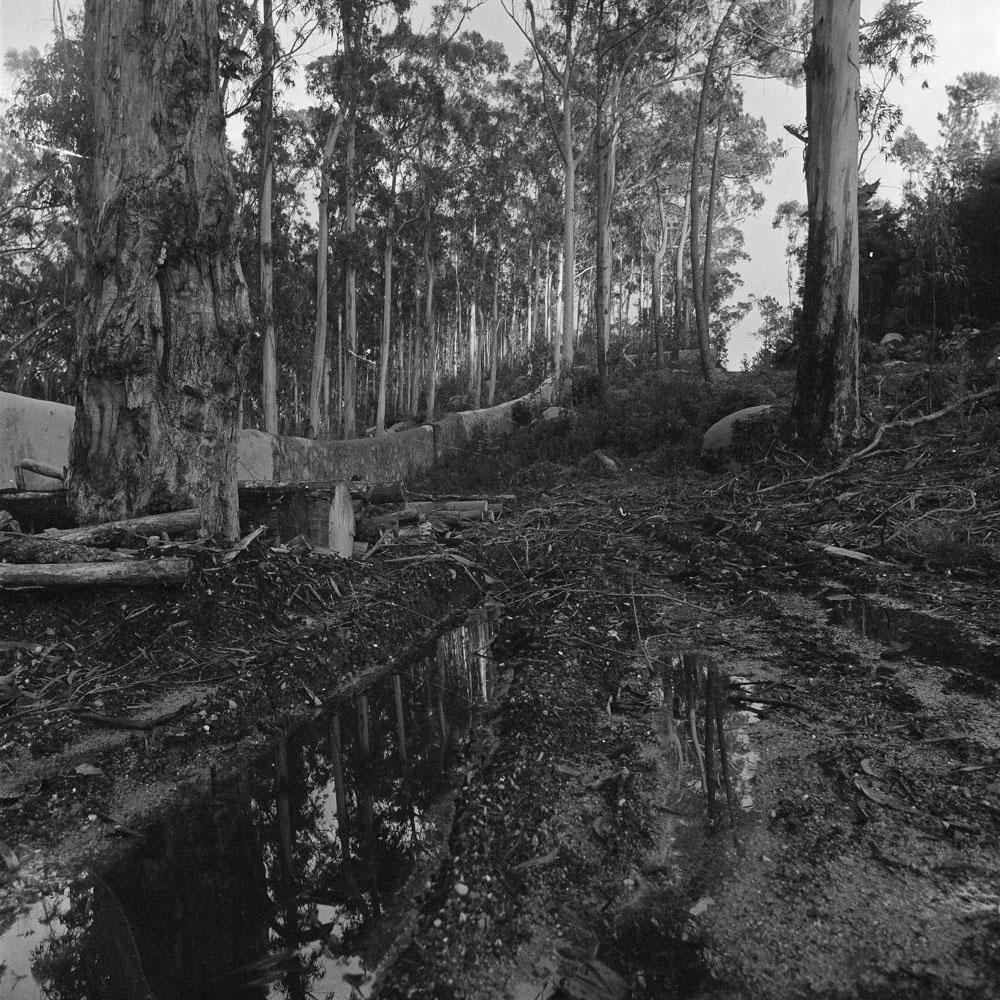 Motive aus der Arbeit „Fabled City (Heimat/Homeland VII)“ von Florian Albrecht-Schoeck