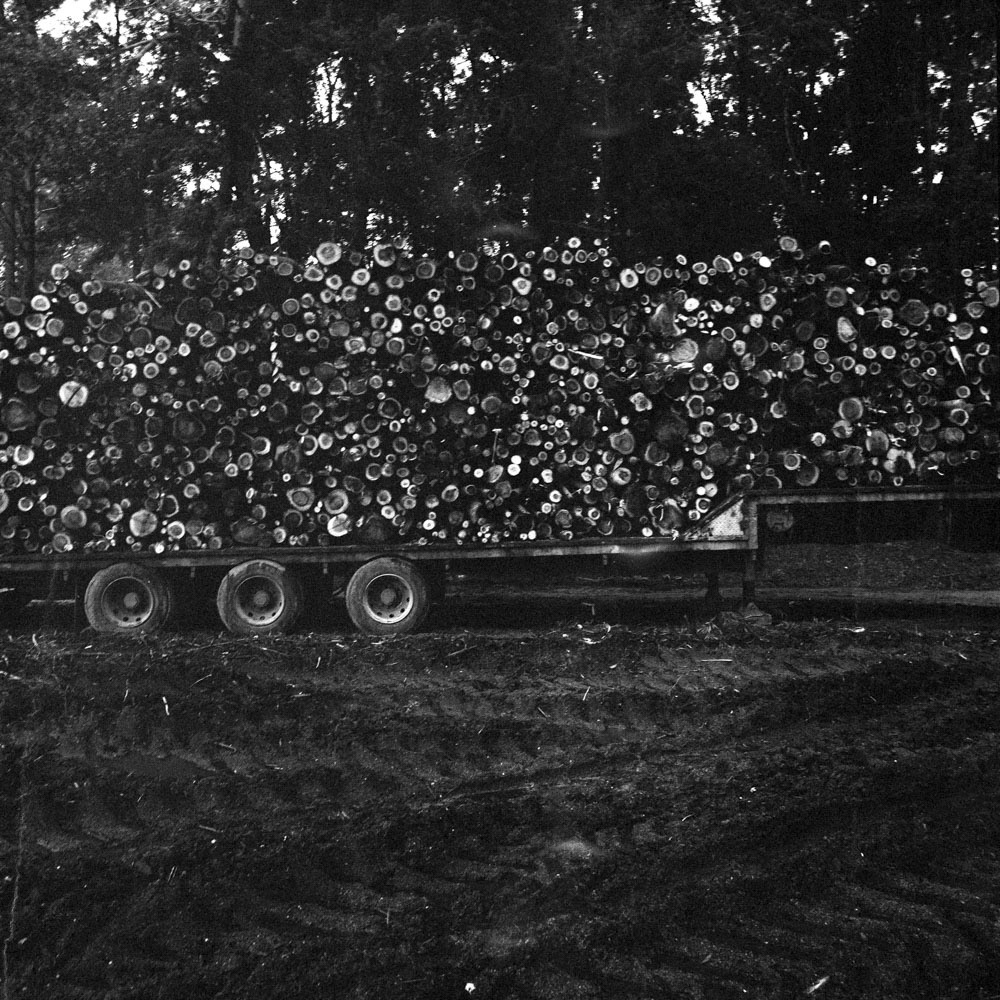 Motive aus der Arbeit „Fabled City (Heimat/Homeland VII)“ von Florian Albrecht-Schoeck