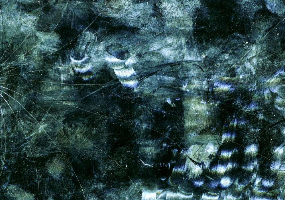 Bild aus der Arbeit „Der Aufstand (The Uprising)“ von Florian Albrecht-Schoeck.