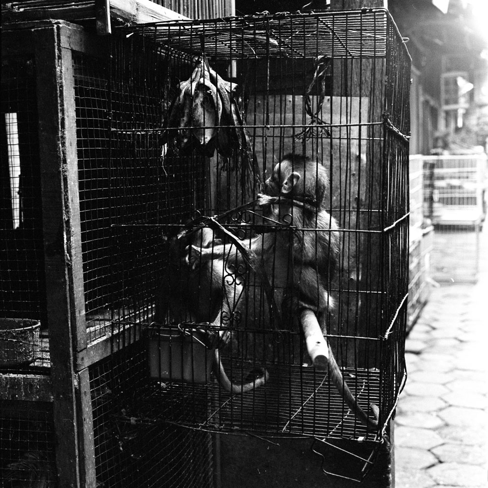 Bild aus der Fotografie Arbeit „Lost (Heimat V / Homeland V)“ von Florian Albrecht-Schoeck.