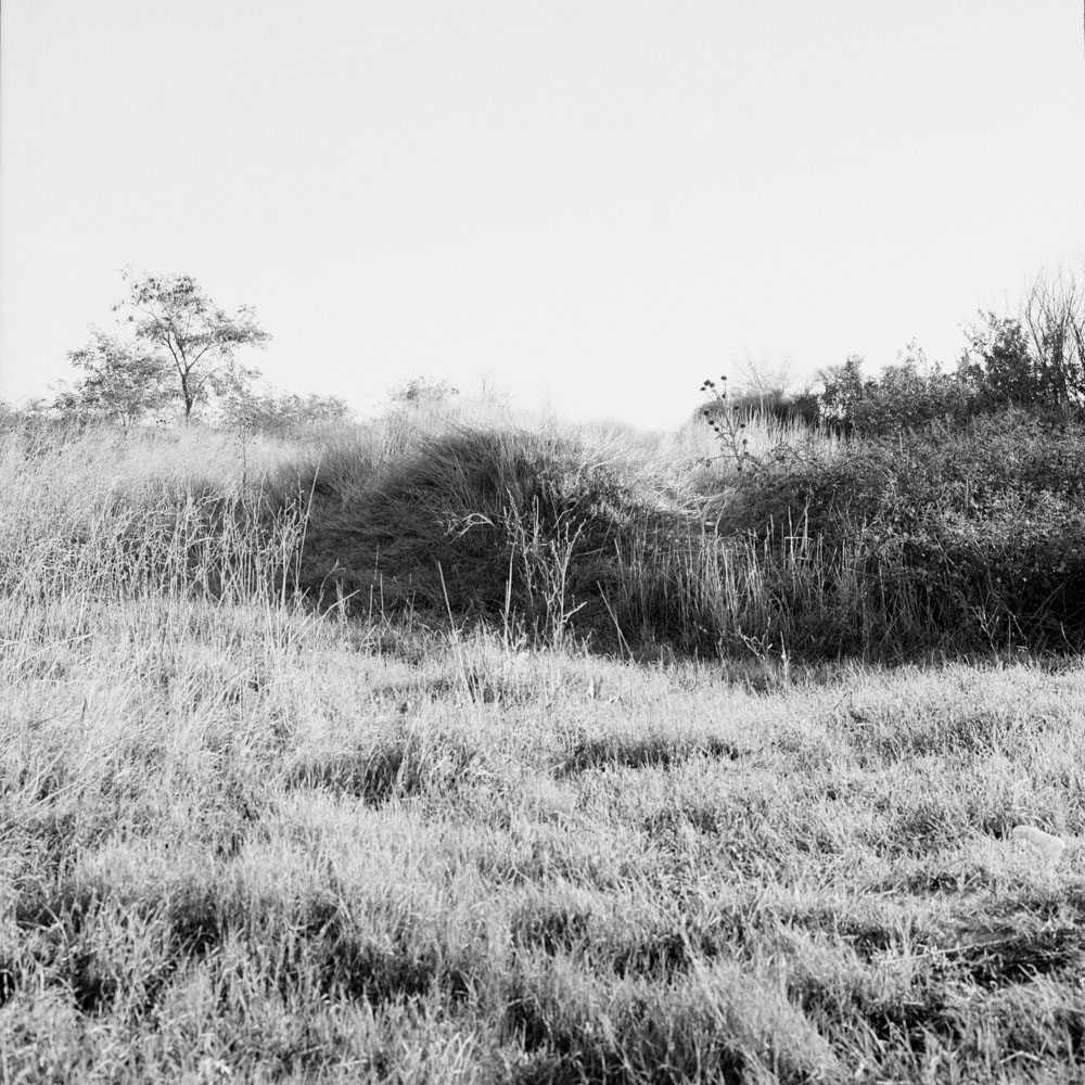 Motive aus der Arbeit „All About (Heimat/Homeland VI)“ von Florian Albrecht-Schoeck