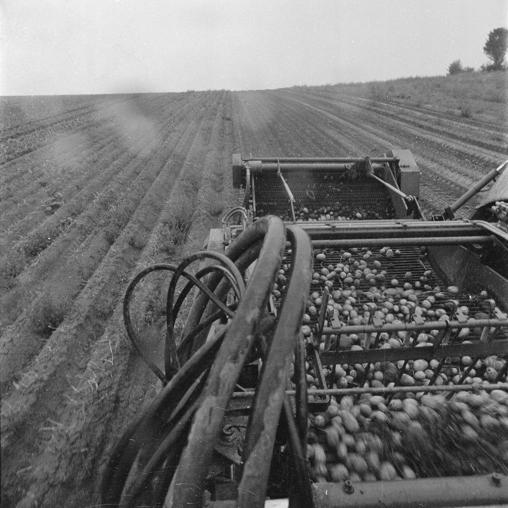 Bild aus der Fotografie Arbeit „ Verzehren und Verzerren (Heimat IV/Homeland IV)“ von Florian Albrecht-Schoeck.