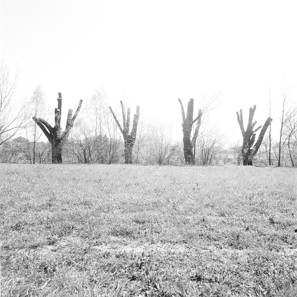 Bild aus der Arbeit „Real Semantik (Heimat/Homeland VIII)“ von Florian Albrecht-Schoeck.