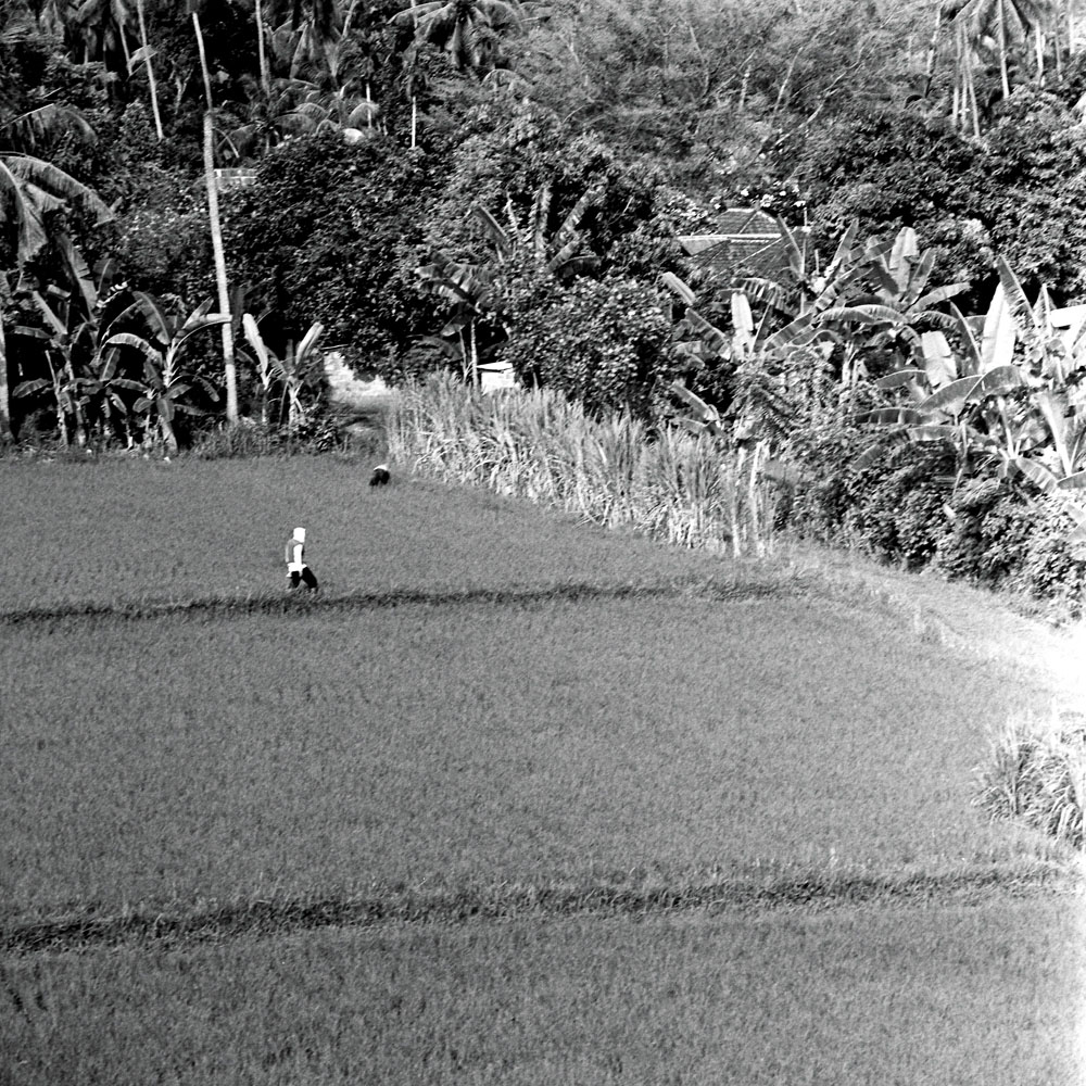 Bild aus der Fotografie Arbeit „Lost (Heimat V / Homeland V)“ von Florian Albrecht-Schoeck.