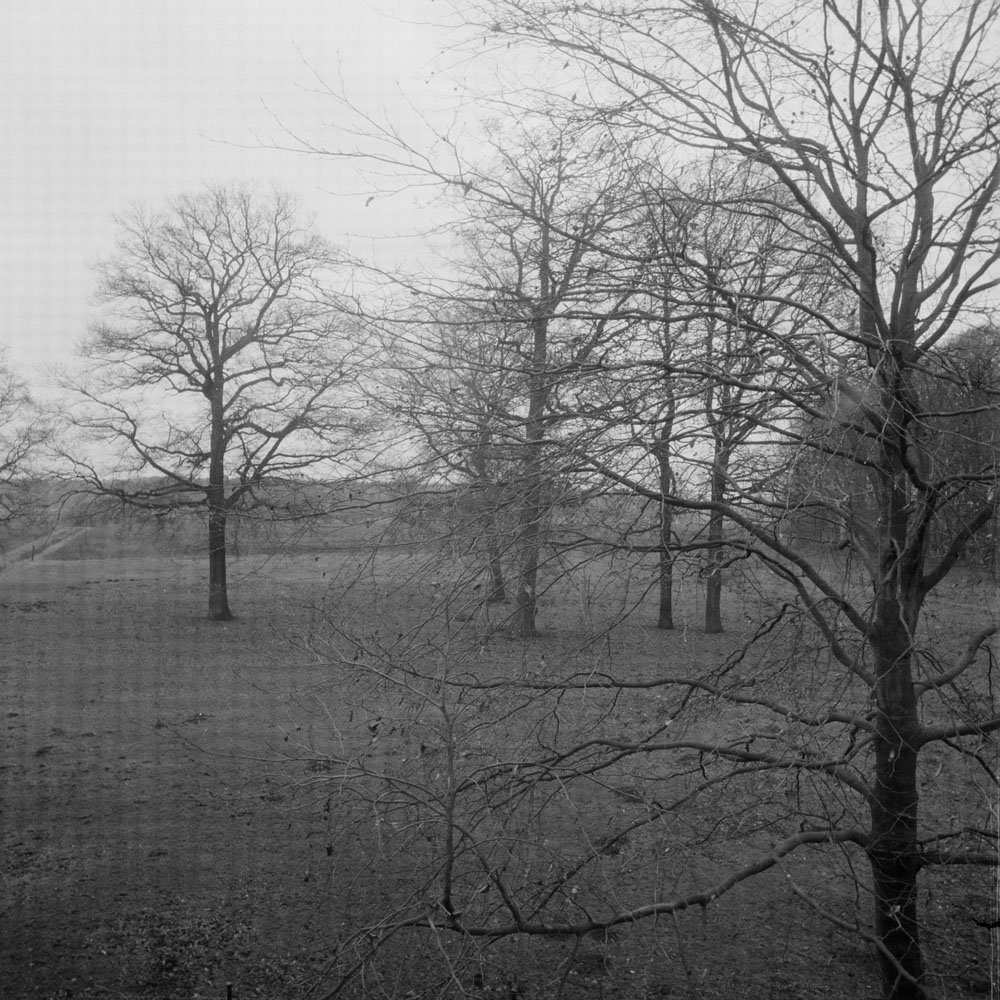 Bild aus der Arbeit „After Aftermath“ von Florian Albrecht-Schoeck.