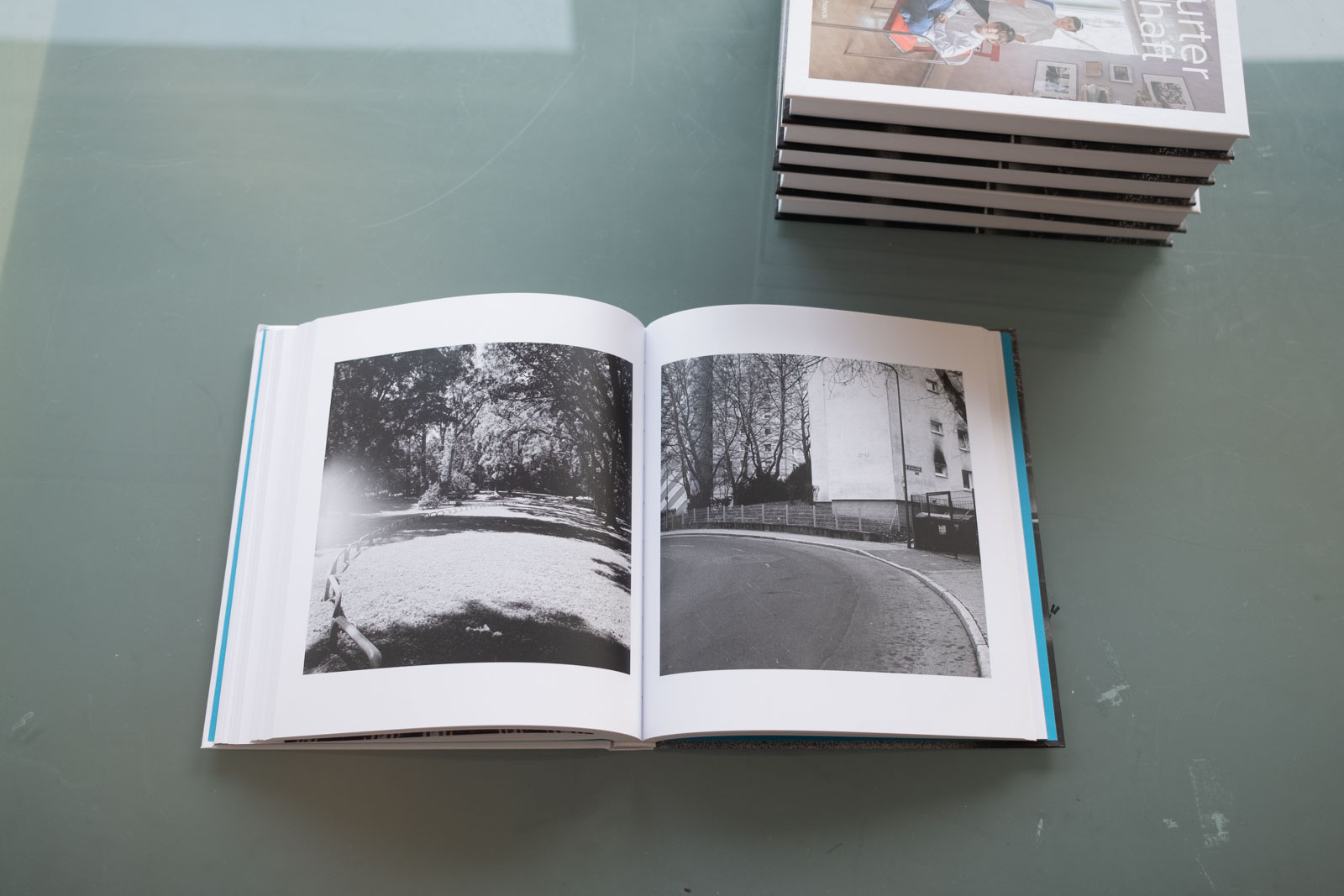 Das Fotobuch: „In Frankfurter Gesellschaft“