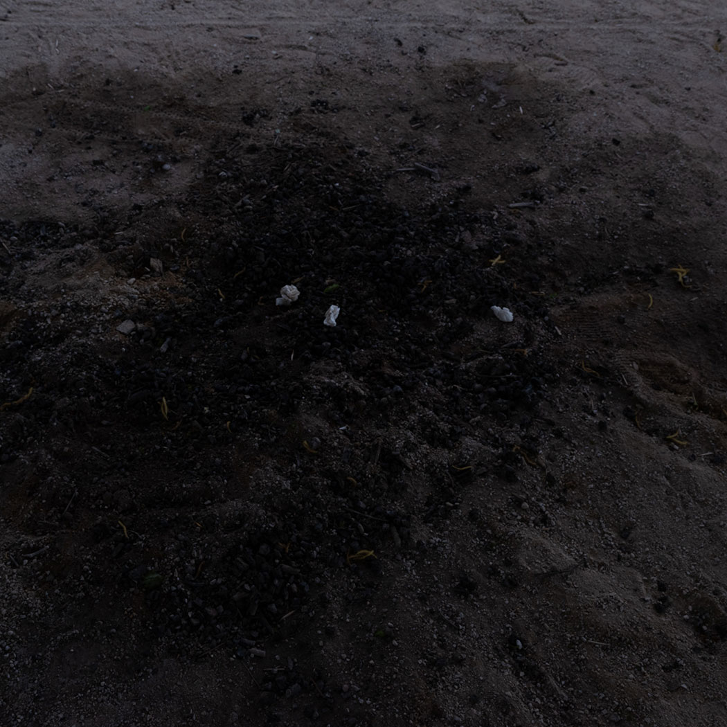 Neuer Blog-Artikel: Teil X: „Ich habe heute Nacht geträumt, dass die Welt untergeht. “ Bild stammt aus der Arbeit „Not Alone“.